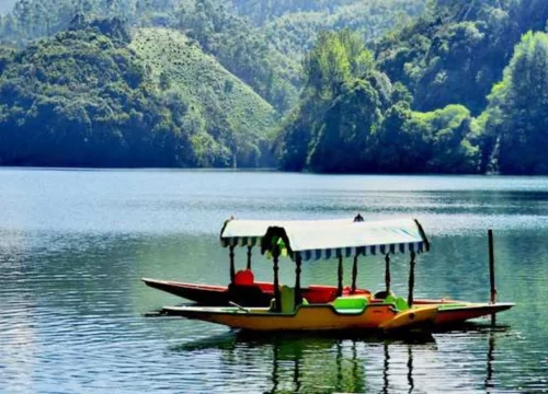 Munnar Tour Packages