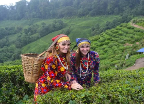 West bengal - Kalimpong & Darjeeling Tour Packages