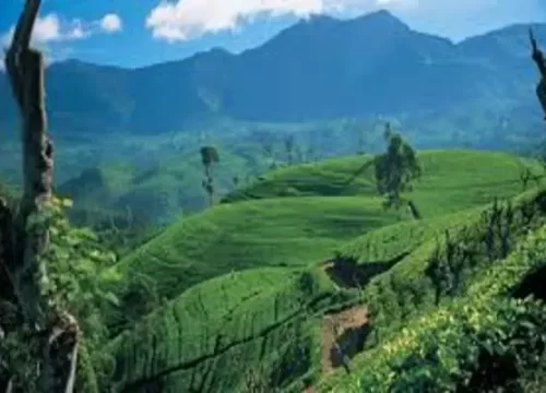 Sri Lanka Tour Package